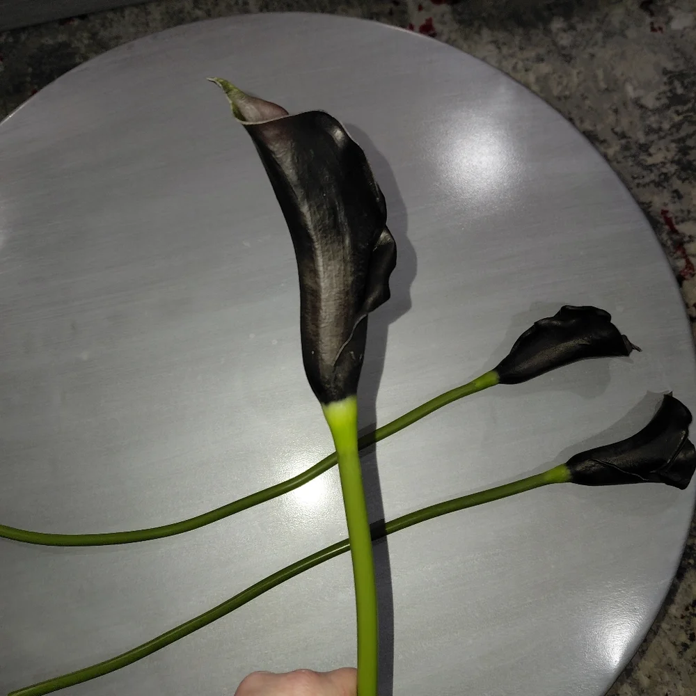 Bundle Of 3 Black Real Touch Faux Calla Lily Stem - 25